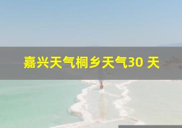 嘉兴天气桐乡天气30 天